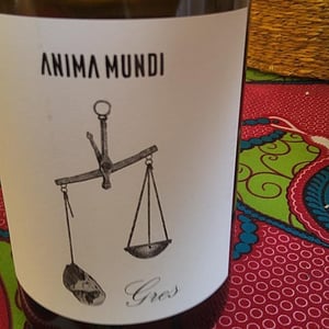 Gres - Anima Mundi - Agustí Torelló Roca 