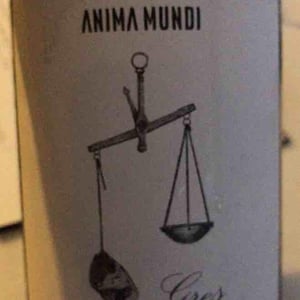 Gres - Anima Mundi - Agustí Torelló Roca 