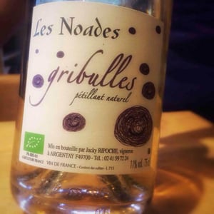 Les Noades - Jacky & Vero Ripoche - Gribulles