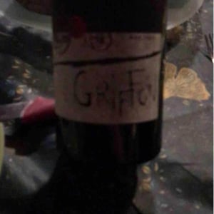 Griffon - Mas Theo - laurent-clapier