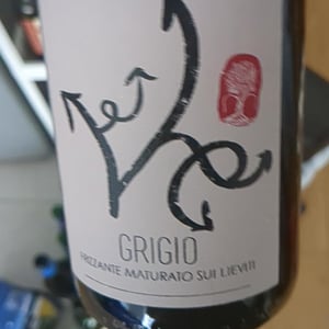 Grigio - Vini Coletti - Massimo Coletti 