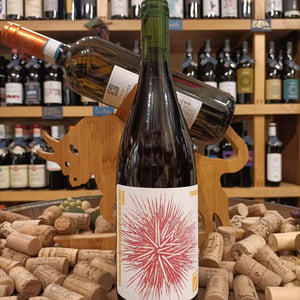 grignolino 2022 - Sette Wine - gianluca-colombo-gino-della-porta