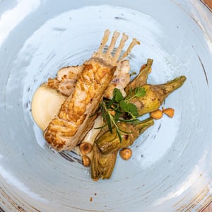 Grilled Turbot - Stappo - 653116