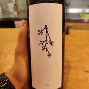 Grillo - Podere San Biagio - jacopo-fiore