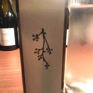 Grillo 2019