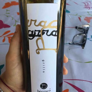 Grillo 15