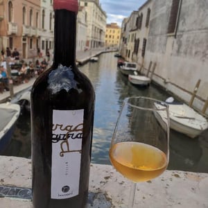 Grillo - Vini Barraco - Antonino Barraco -2020