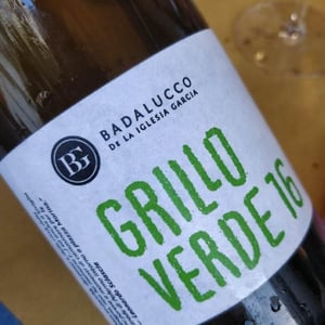 Dos Tierras Badalucco - Pierpaolo Badalucco & Beatriz de la Iglesia García - Grillo Verde