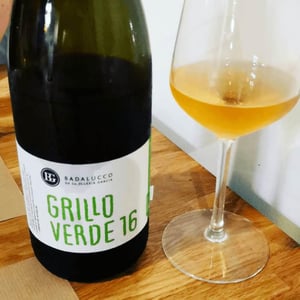 Dos Tierras Badalucco - Pierpaolo Badalucco & Beatriz de la Iglesia García - Grillo Verde