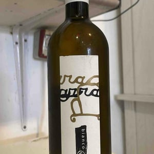 Grillo - Vini Barraco - Antonino Barraco -2020