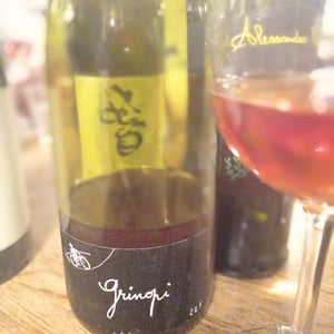 Grinopi - Paul-Henri Soler - Paul-Henri Soler 