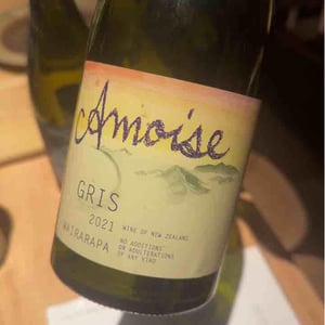Gris - Amoise - Amy Farnsworth 
