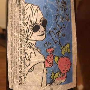 Gris de Florette - Lucy Margaux Vineyards - Anton Van Klopper 