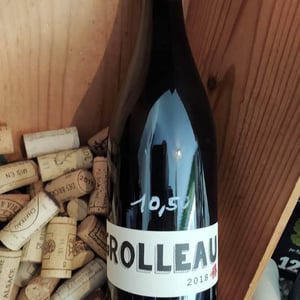Grolleau - Domaine Régnier-David - jean-francois-regnier -2018