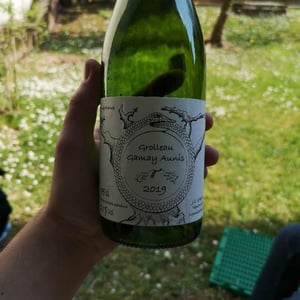Grolleau Gamay Aunis - Jean-Christophe Garnier - jean-christophe-garnier