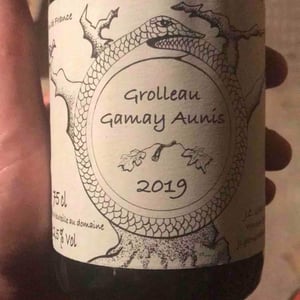 Grolleau Gamay Aunis - Jean-Christophe Garnier - Jean-Christophe Garnier 