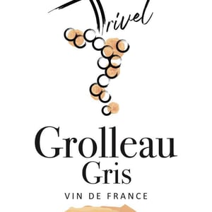 Grolleau Gris - Domaine de Trivel - sidonie-joggerst-thomas-guillon -2020