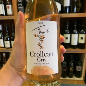 Grolleau Gris - Domaine de Trivel - sidonie-joggerst-thomas-guillon -2020