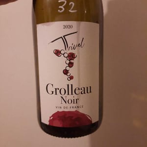 Grolleau Noir - Domaine de Trivel - sidonie-joggerst-thomas-guillon