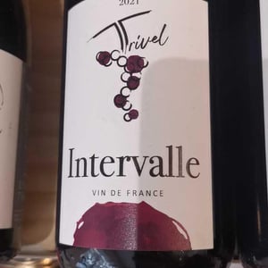 Grolleau Noir - Domaine de Trivel - Sidonie Joggerst & Thomas Guillon 