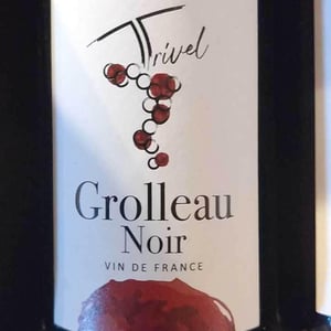 Grolleau Noir - Domaine de Trivel - Sidonie Joggerst & Thomas Guillon 