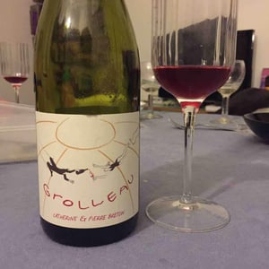 Grolleau - Domaine Breton - catherine-pierre-breton