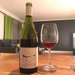 Grolleau - Domaine Breton - catherine-pierre-breton