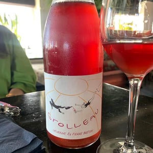 Grolleau - Domaine Breton - catherine-pierre-breton