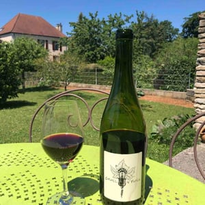 GrollRoll Babass - Les Vignes de Babass - sebastien-dervieux
