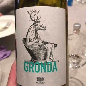 Gronda - Cooperativa Agricola Sociale Calafata - Mauro Montanaro 