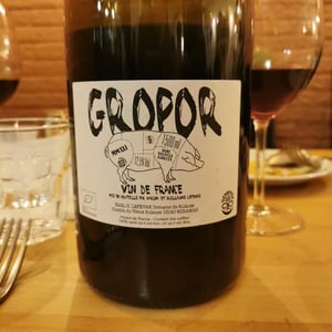 Gropor (Magnum) - Domaine de Sulauze - karina-guillaume-lefevre