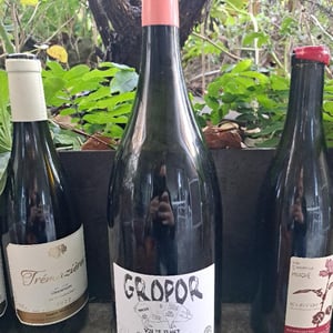 Gropor (Magnum) - Domaine de Sulauze - Karina & Guillaume Lefèvre 