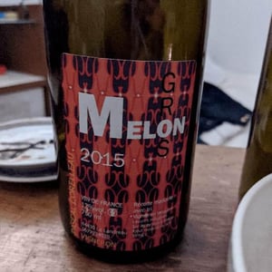 Gros Melon - Pascal Corelleau - pascal-corelleau