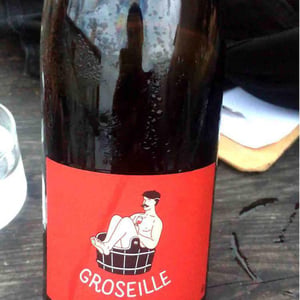 Groseille - Domaine Montaillant - alexis-hudon-jerome-loubert