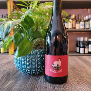 Groseille - Domaine Montaillant - alexis-hudon-jerome-loubert