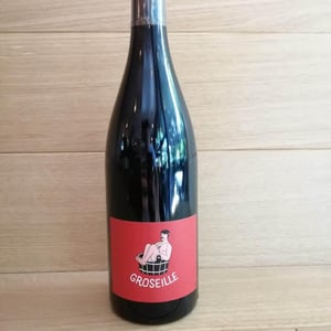 Groseille - Domaine Montaillant - alexis-hudon-jerome-loubert