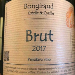 Brut R - Francuska Vinarija - estelle-cyrille-bongiraud