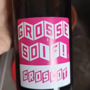 Grosse Soif - Terra Vita Vinum - Bénédicte & Luc Briand -2020