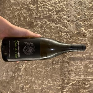 Grotte Di Sole - Domaine Jean-Baptiste Arena - jean-baptiste-arena
