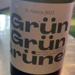 Grün Grün Grüner - Weingut Schödl Family - Mathias, Viktoria & Leonhard Schödl -2024