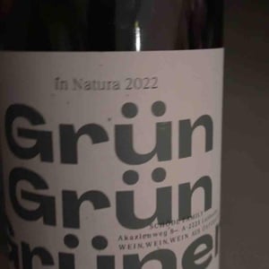 Grün Grün Grüner - Weingut Schödl Family - Mathias, Viktoria & Leonhard Schödl -2024