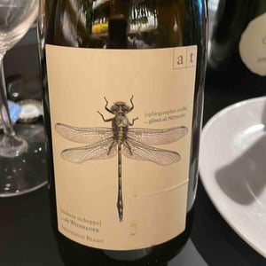 Grüne Libelle Reserve 2018