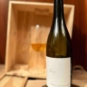 ErdeLuftGrasUndReben GV - Weingut Claus Preisinger - Claus Preisinger -2017