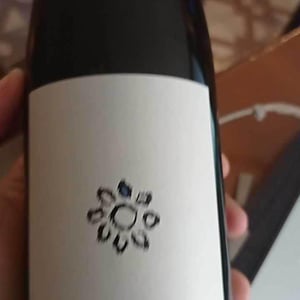Grüner Veltliner Handcrafted - Weingut Martin & Anna Arndorfer - martin-anna-arndorfer