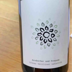 Grüner Veltliner Handcrafted - Weingut Martin & Anna Arndorfer - martin-anna-arndorfer