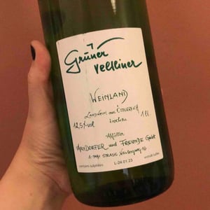 Weingut Martin & Anna Arndorfer - Martin & Anna Arndorfer - Grüner Veltliner Handcrafted
