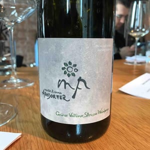 Gruner Veltliner Strasser Weinberge - Weingut Martin & Anna Arndorfer - Martin & Anna Arndorfer 