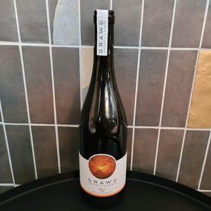 GT.O - Grawü - leila-grasselli-dominic-wurth -2019