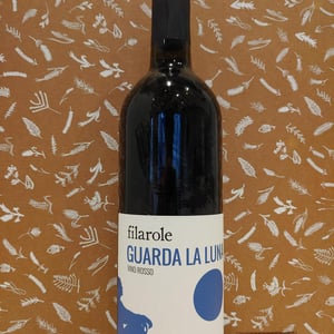 Guarda la Luna - Filarole - barbara-pulliero-paolo-rusconi -2021