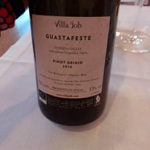 Guastafeste - Villa Job - Alessandro Job 